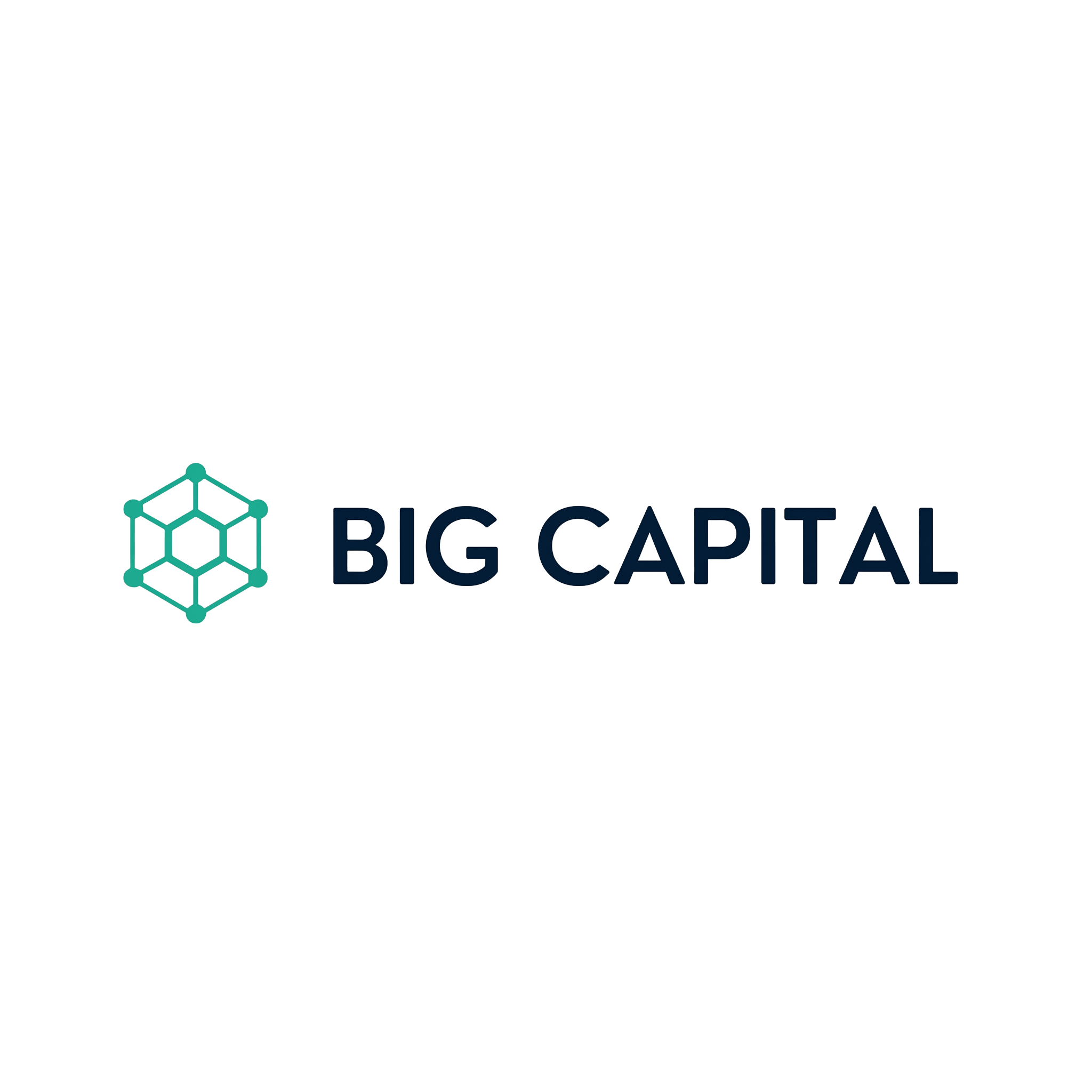 BIG CAPITAL